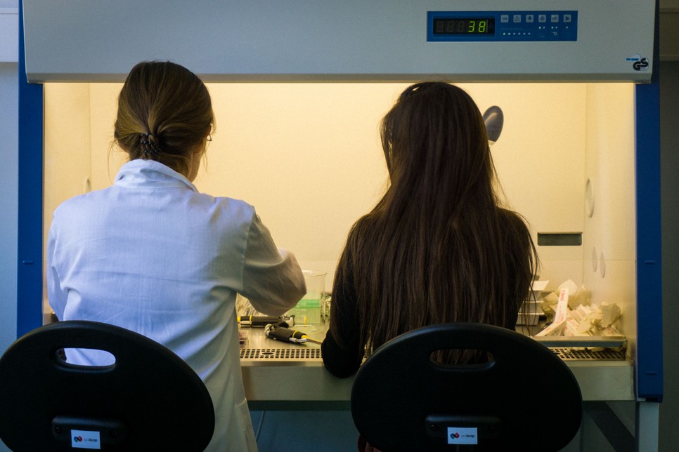 Két magyar nő találmánya vethet véget a műanyagok uralmának: Poliloop, a műanyaglebontó baktériumkoktél