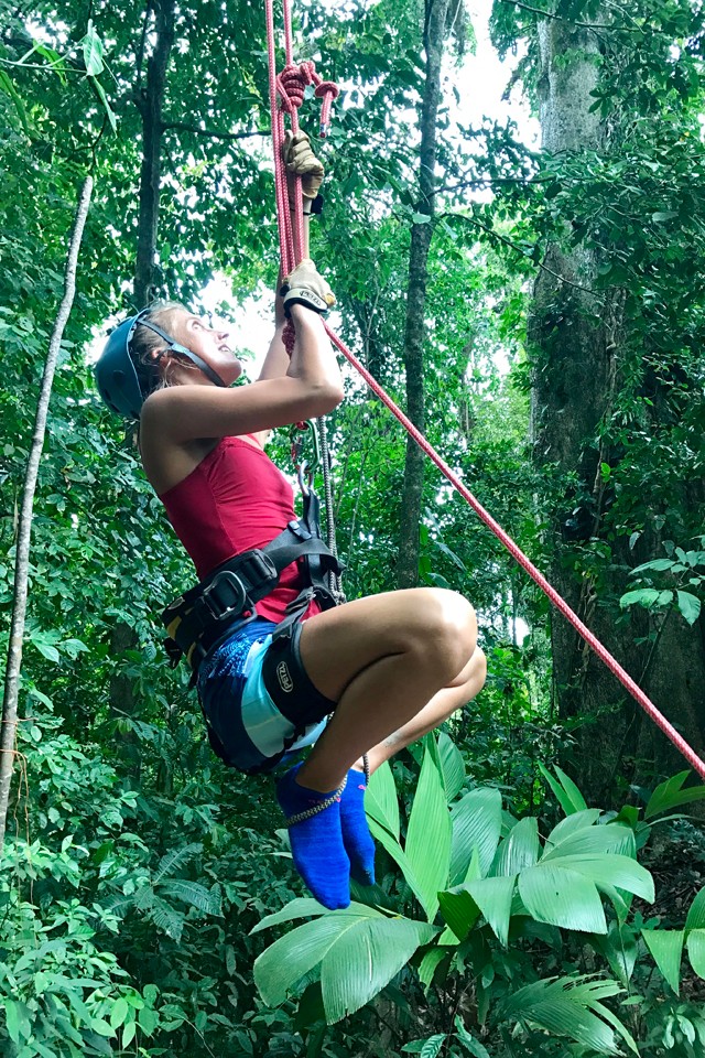 "Jane-élmény" a fa tetején
