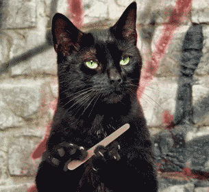 Elképesztő: ez a férfi körmük alapján állapítja meg a nők személyiségét