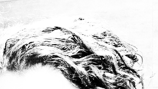 Bonta Gáspár kiállítása a Brody House Studióban