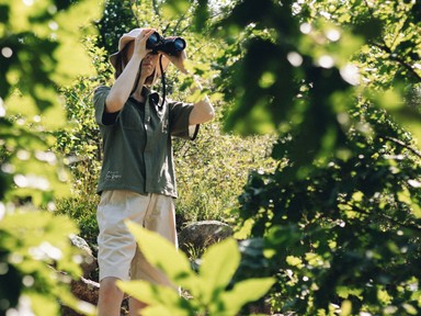 Jane Goodall kilencvenedik születésnapja magyar divatkollekciót ihletett
