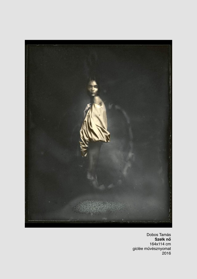 dobos tamás, u, kiállítás, next galéria, divatfotós