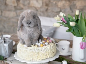 Nyuszik mindenhol: íme a legédesebb húsvéti dekorációk