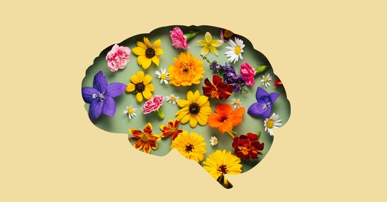 Miért lett akkora luxus a csend az idegrendszer számára, és mit kapnánk napi 5 perctől ebben az állapotban?