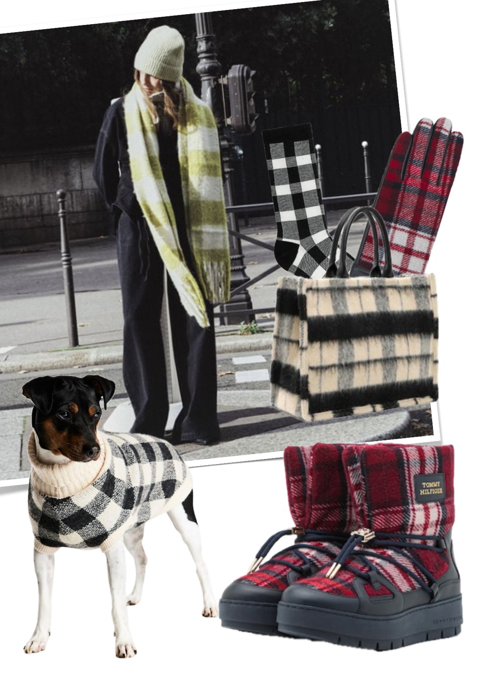 glamour pinter judit