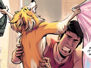 10 vicces élethelyzet, amit csak az érthet, akinek van kutyája!