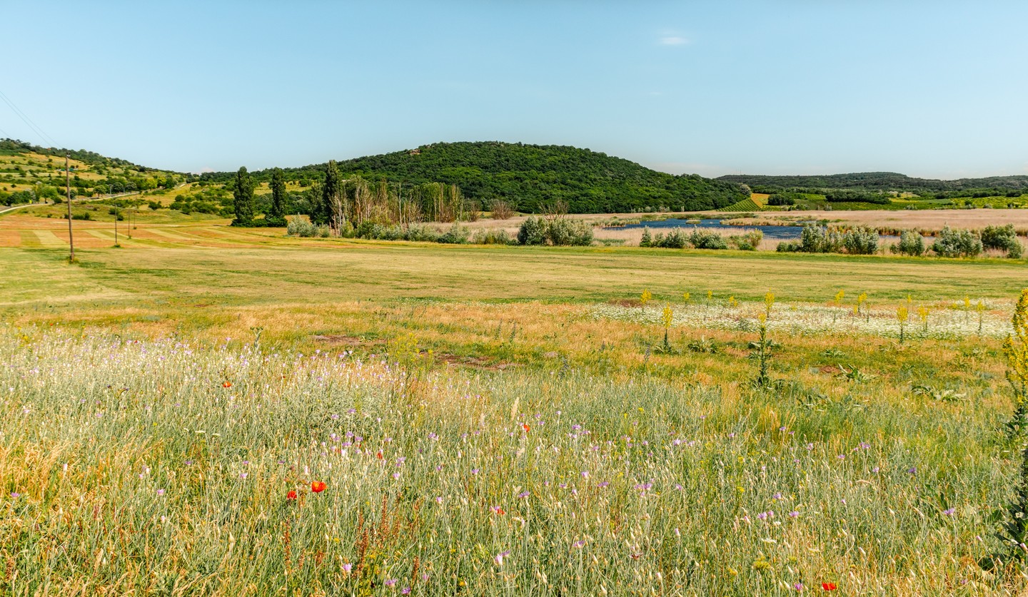 A Tihanyi-félsziget tele van rejtett csodákkal