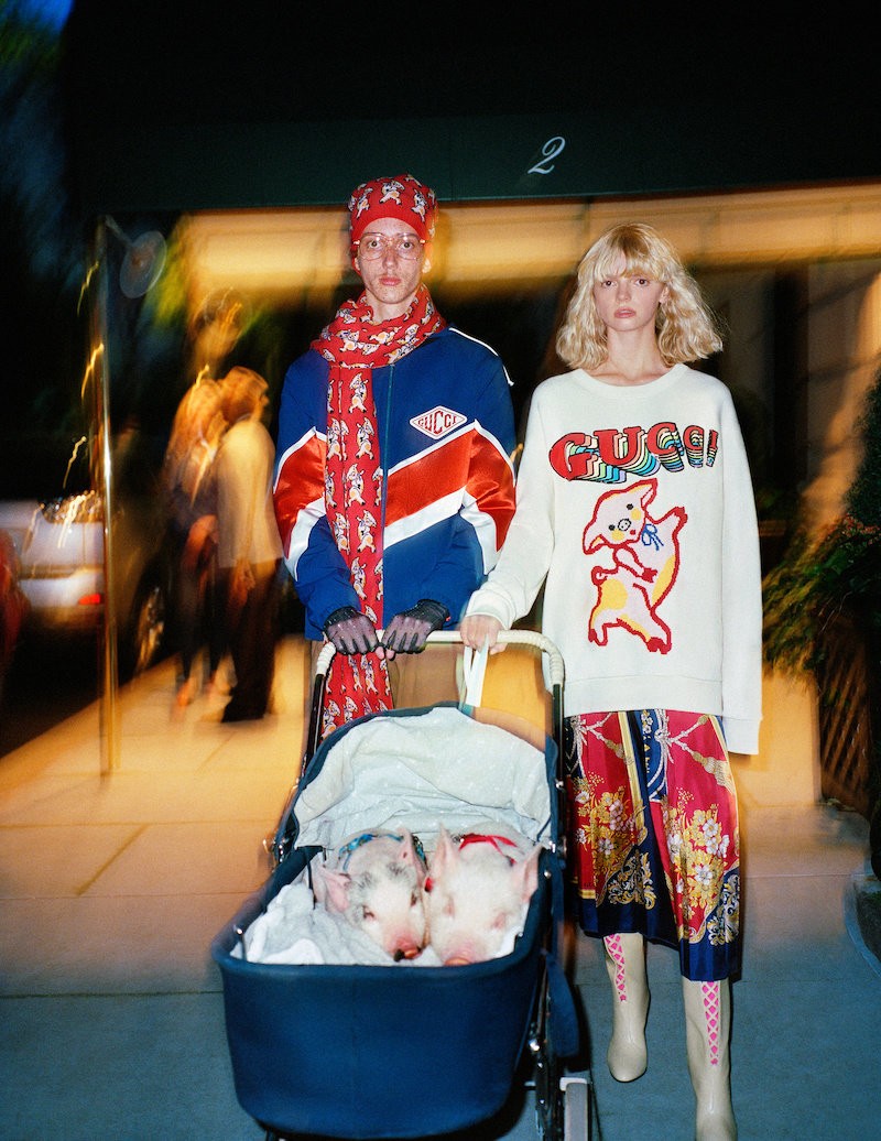 Ha te is úgy imádod a törpemalacokat, mint én, akkor visítani fogsz a Gucci új kampányától