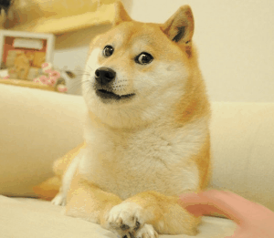 Ez az állat szinte mindent túlél és 200 évig él!