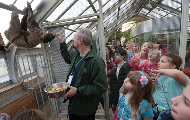 Állati rekordokkal ünnepelt a SPAR