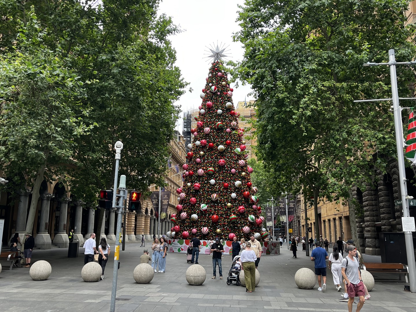 Az ausztrál karácsony egy képen: rövidnadrágos emberek és a központi fenyőfa
