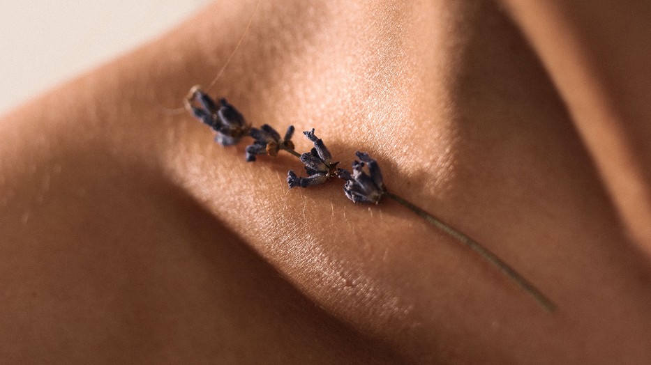 Ezért kulcsfontosságú összetevő a téli bőrápolásban a levendula