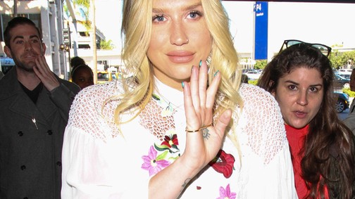 Amerikában hódít a kalocsai minta!