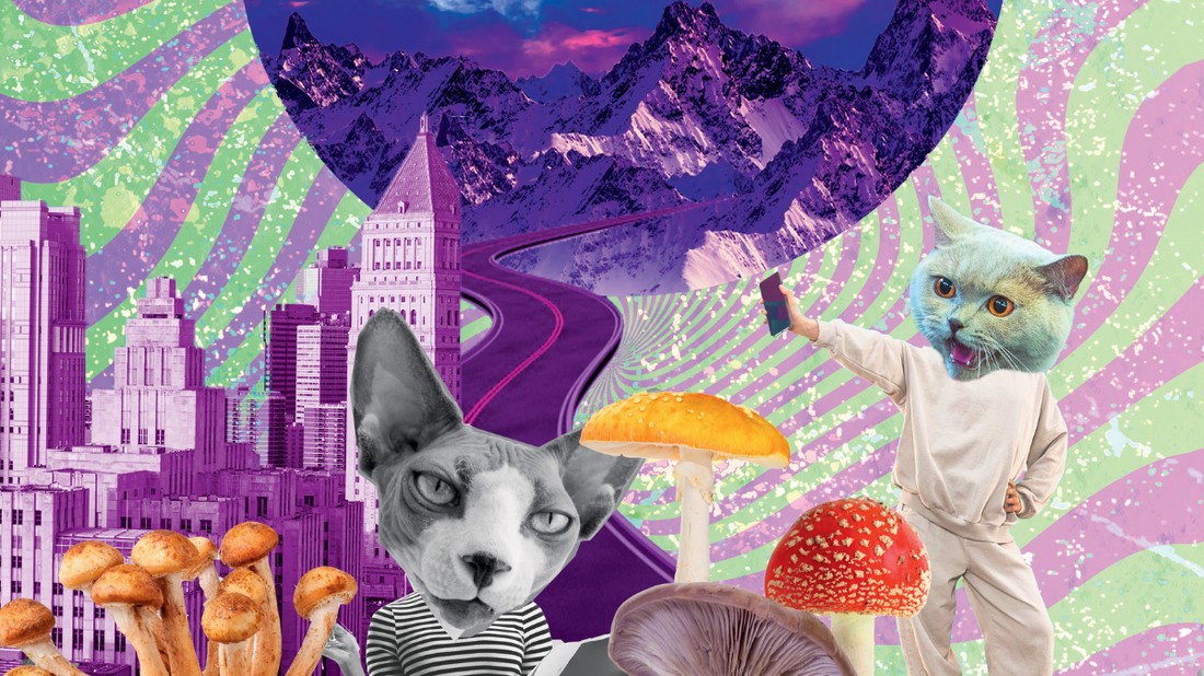 Az eddigi kutatások szerint a pszichedelikus szereke kevésbé kockázatosak, mint az antidepresszánsok, amik súlyos függőséghez is vezethetnek