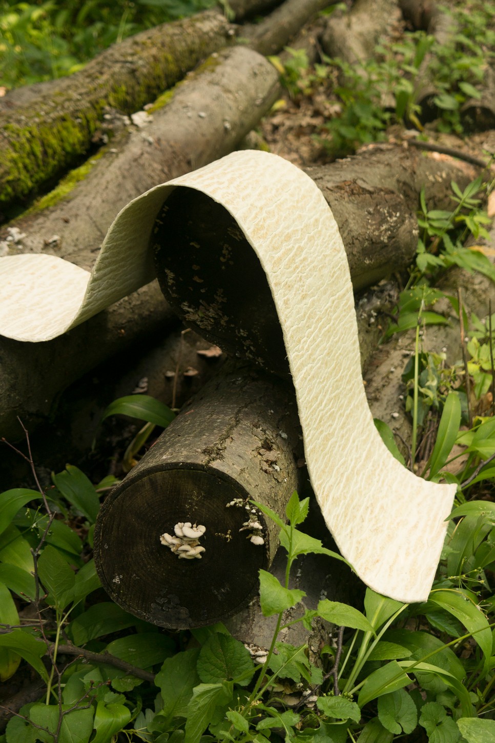 termeszetes-bor-glamour