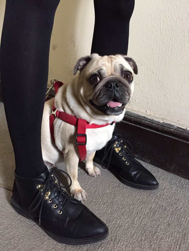 A Daige tervezője csak ritkán látható ilyen szettben