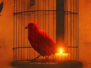 Csak te meg ő: új szerelmes dal nektek címezve a The Carbonfools zenekartól