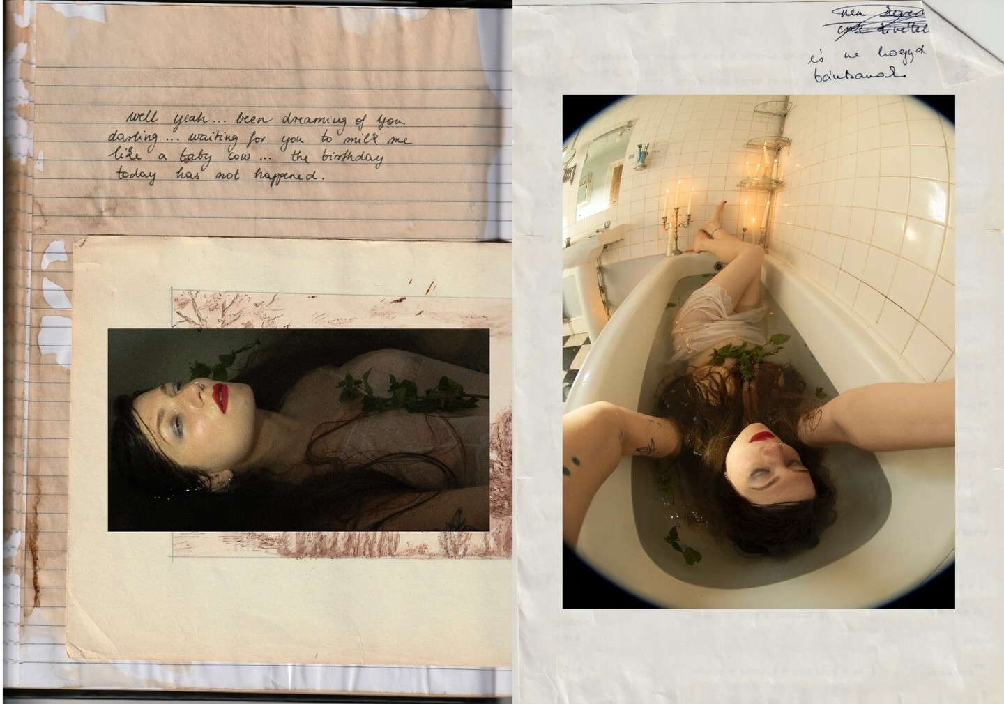 Martin Wanda: Ártatlanság és tapasztalás dalai sorozat