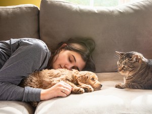 Kutyás vagy macskás ember vagy? A pszichológus szerint sokat elárul rólad