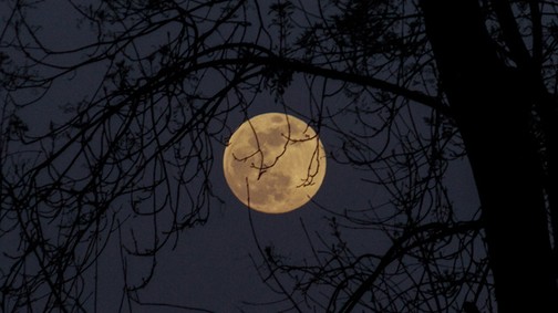 Telihold: Szex, kaland és rengeteg szenvedély - ezt hozza a Vadász Hold ma