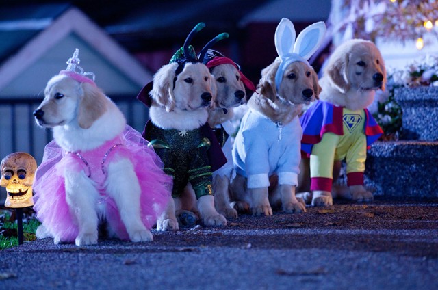 Halloweeni parti otthon? A legnagyobb buli lehet!