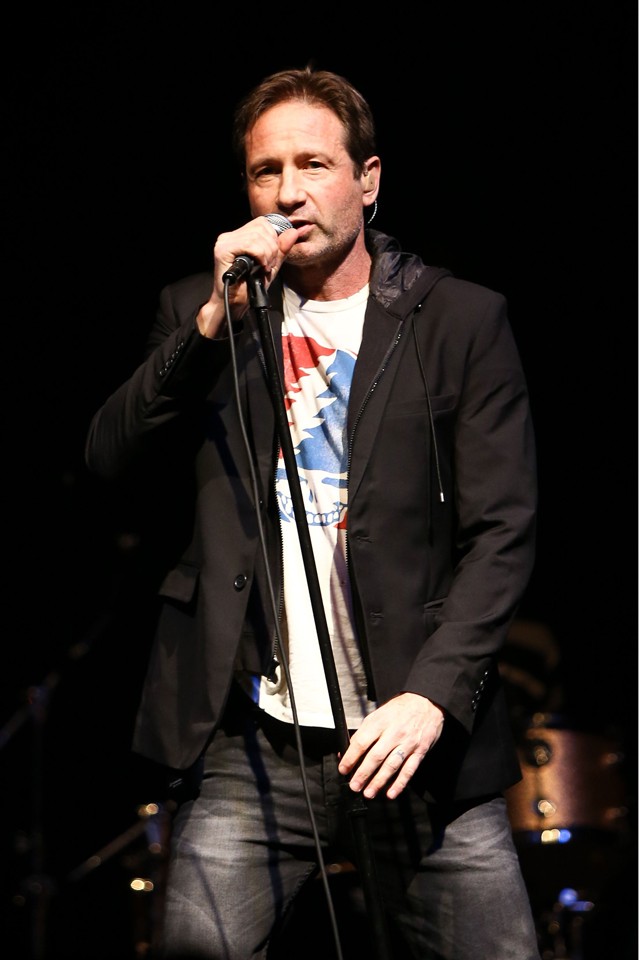 David Duchovny koncert