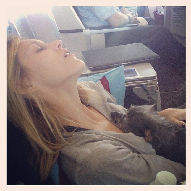 Anja Rubik kiskutyája az ölében alszik a repülőúton.