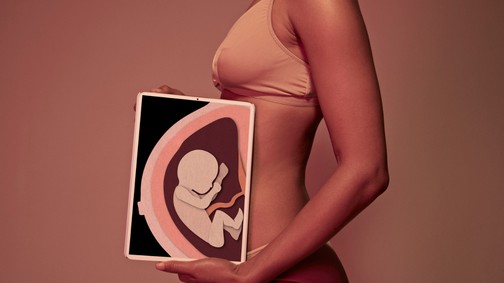 A méhlepény az emberi test csodája, mégis keveset tudunk róla