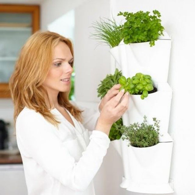 Virágtartó 10900 Ft Minigarden