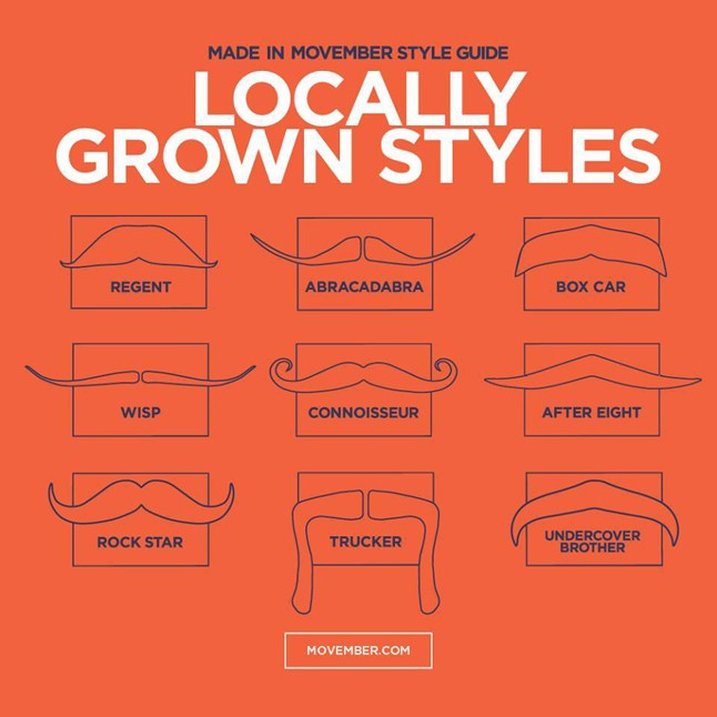 Ha életed férfija nekidurálta magát a bajusznövesztésnek, ám nincs ötlete a fazonra, nyújtsd át neki inspirációnak az alábbi mintákat. Szemceruzával ki is próbálhatjátok a különböző stílusokat, mielőtt élesben menne a növesztés. 