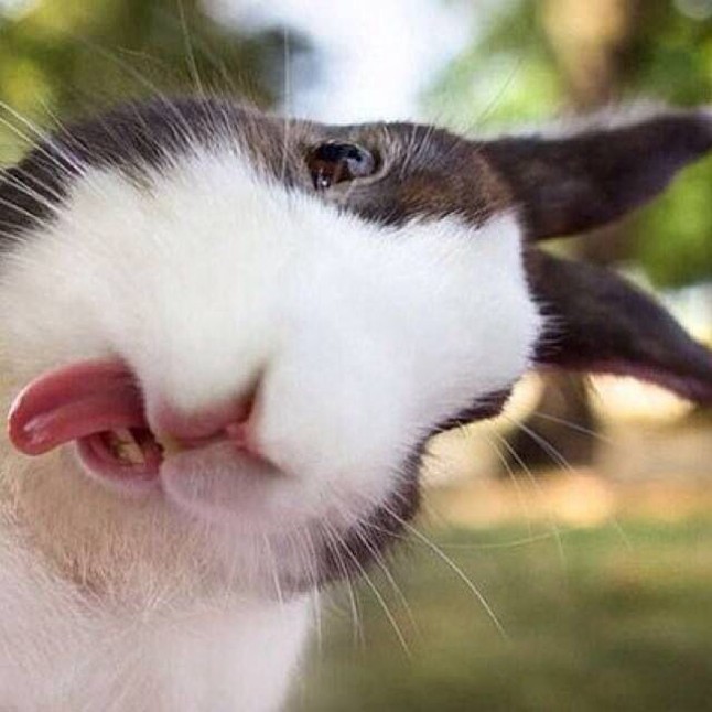 Miért emlékszik a másik rosszul?