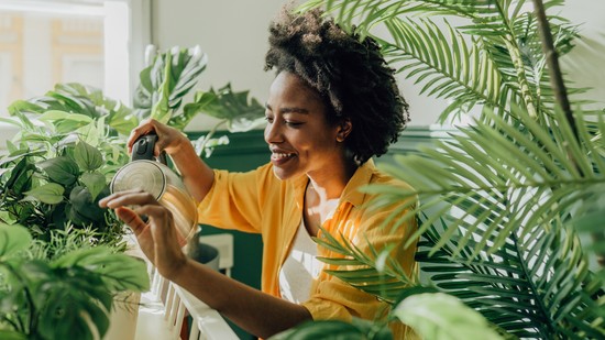 Készülj fel egy külső és belső tavaszi nagytakarításra a fengsuj jegyében