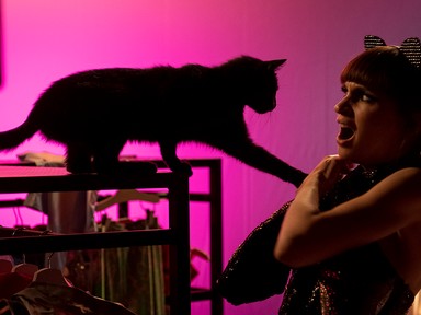 Kemény Zsófi a Cicaverzum kapcsán: Ha egy nárcisztikus csapdát állít nekem, menekülök