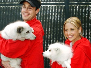 15 évet kellett rá várni, de megérte: Sarah Michelle Gellar és Freddie Prinze Jr. újra együtt a vörös szőnyegen