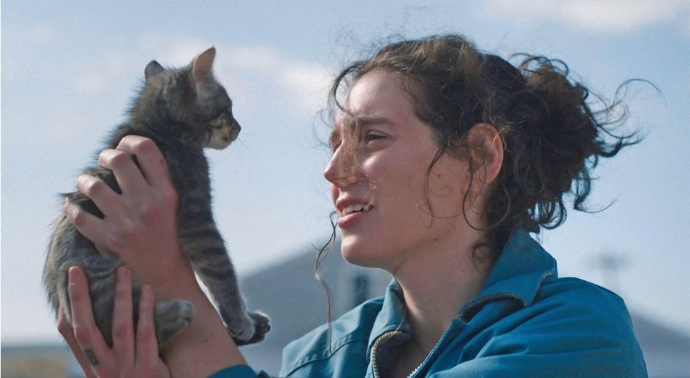 8 brutálisan jó és népszerű film az HBO Max kínálatában, amit a legtöbben imádtak 2025-ben