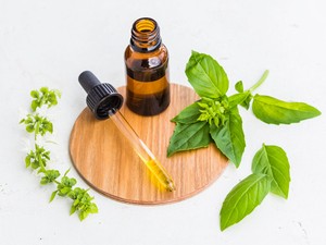 Egészség fillérekért: bazsalikom