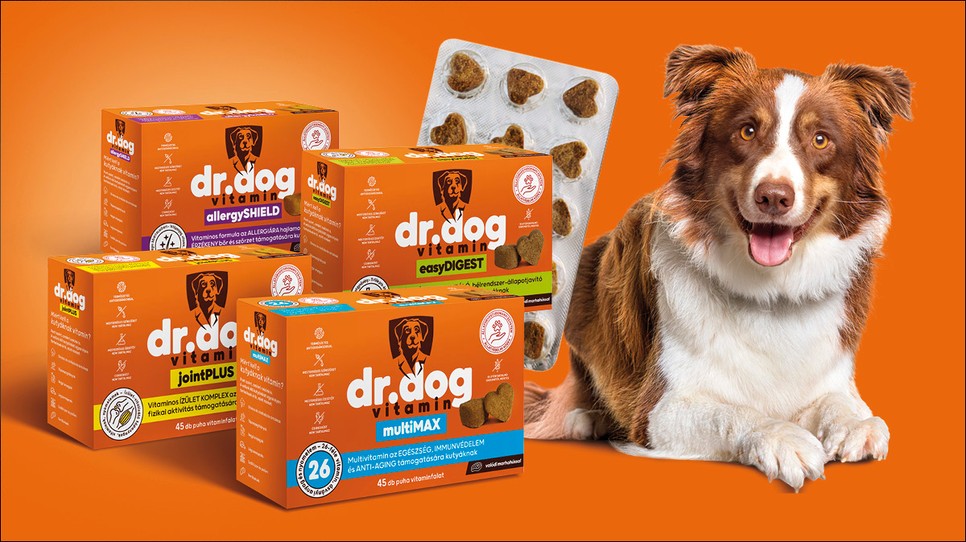 A Dr. Dog vitamin négy különböző készítménnyel válaszol a szükségleteitekre