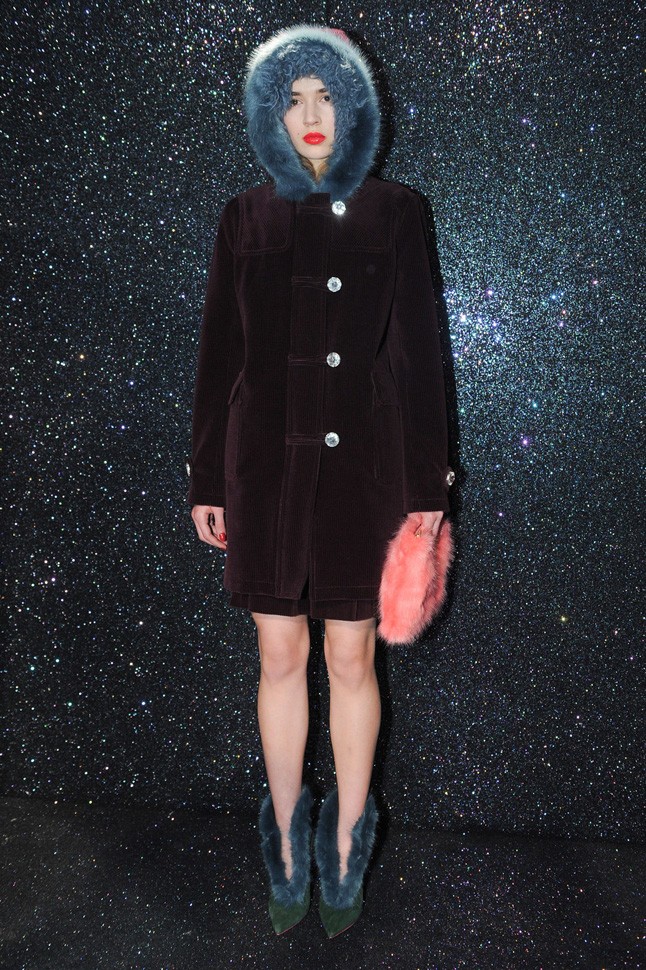 Dukic Isidora - Shrimps