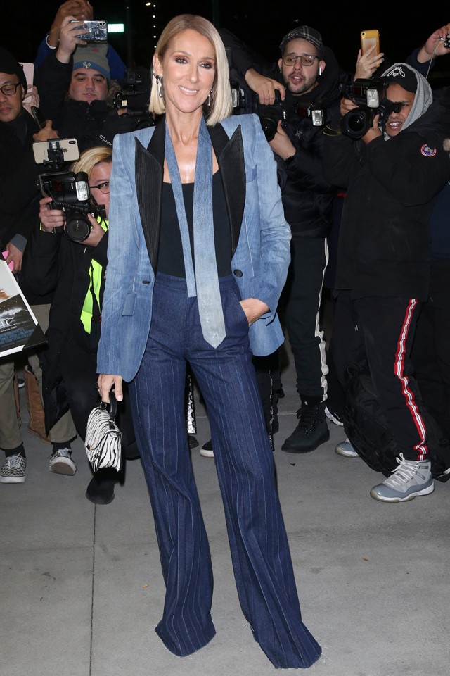 Celine Dion New York