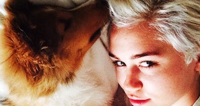 Bemutatjuk Miley Cyrus elképesztően aranyos kiskutyáját