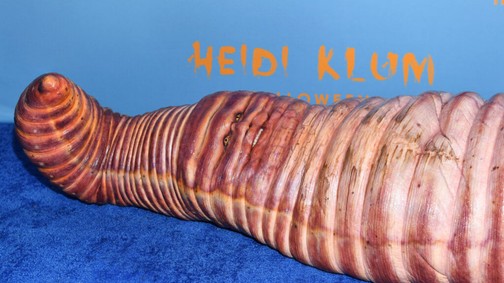 10 halloween jelmez Heidi Klumtól, amiben rá sem ismertünk a modellre: nem véletlenül ő ennek az időszaknak a királynője