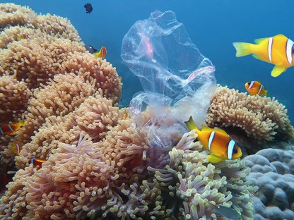 Megoldható-e az óceánok műanyag-szennyezése és a szegénység problémája egyszerre?