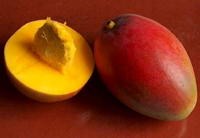 mango-200x-d000038093499c35268e6.jpg