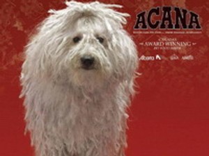 Ünnepeljenek kedvenceid is!