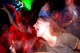 A Sziget Fesztiválon jól elfér egymás mellett az elektronikus, dance, heavy metal, rock, jazz, reggae és pop zene. (2002)