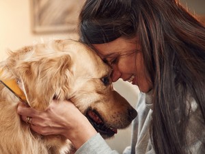 5 előny az életben, amit csak azok élveznek, akiknek van kutyájuk
