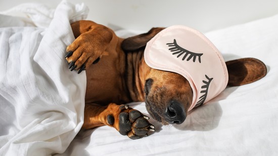 Kedvenc alvópózod félelmetesen sokat elárulhat a személyiségedről: erre utal, hogy milyen pozícióban alszol