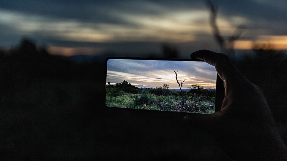 Legyél aktív védelmezője az afrikai szavanna veszélyeztetett állatainak ezzel a szuper funkcióval