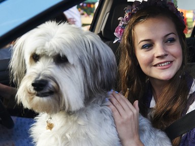 5 kutyabarát kávézó és reggeliző Budapesten