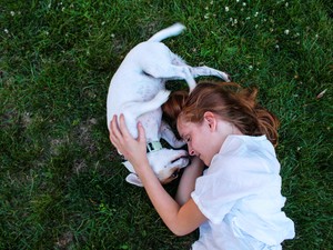 Jobb egészség, több szerető gazdi: menhelyi kutyák örökbefogadását segíti az új agility pálya